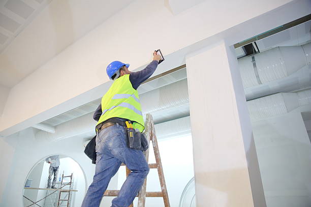 Best Custom Drywall Designs  in North Brooksville, FL